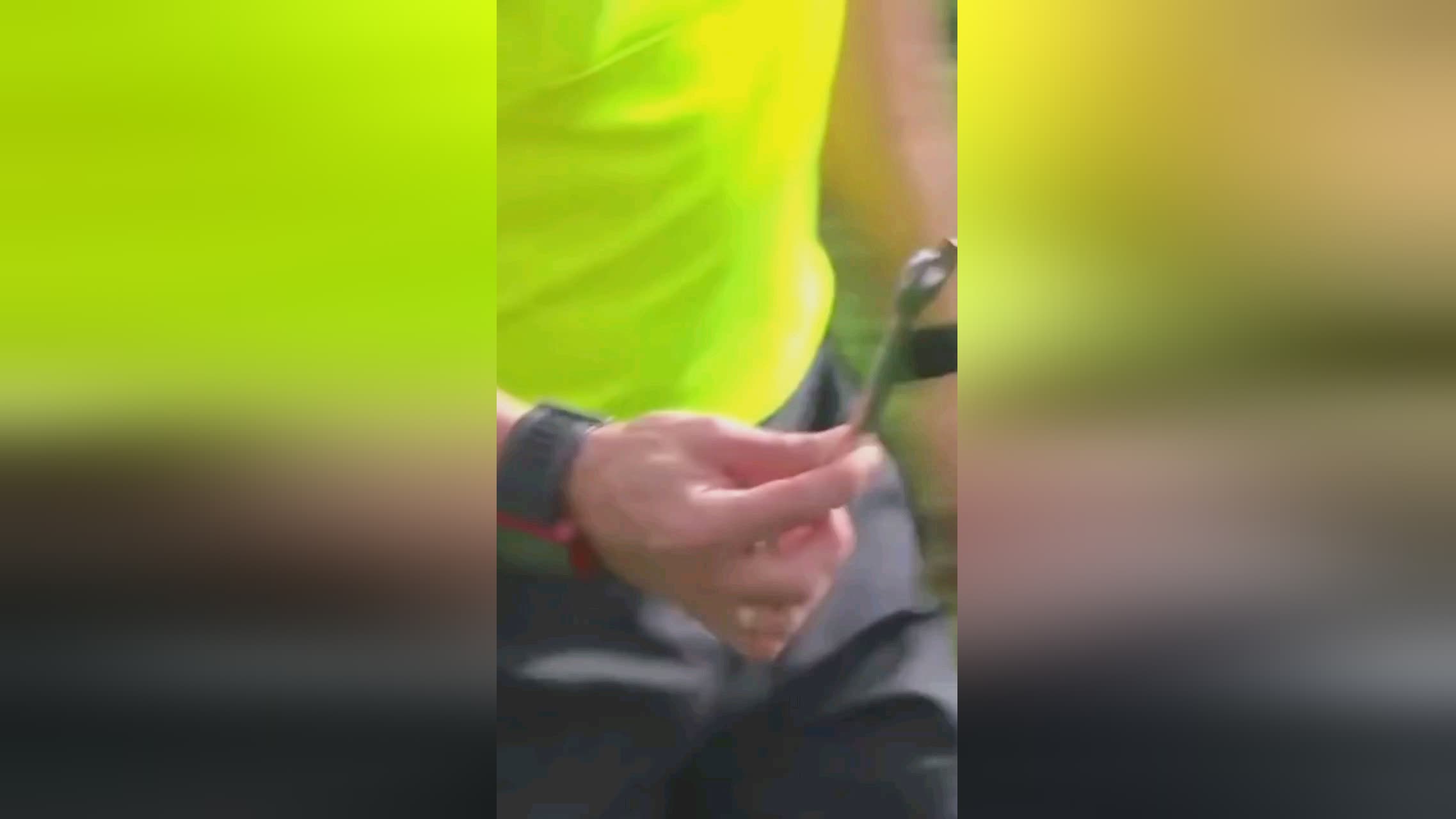 起的
