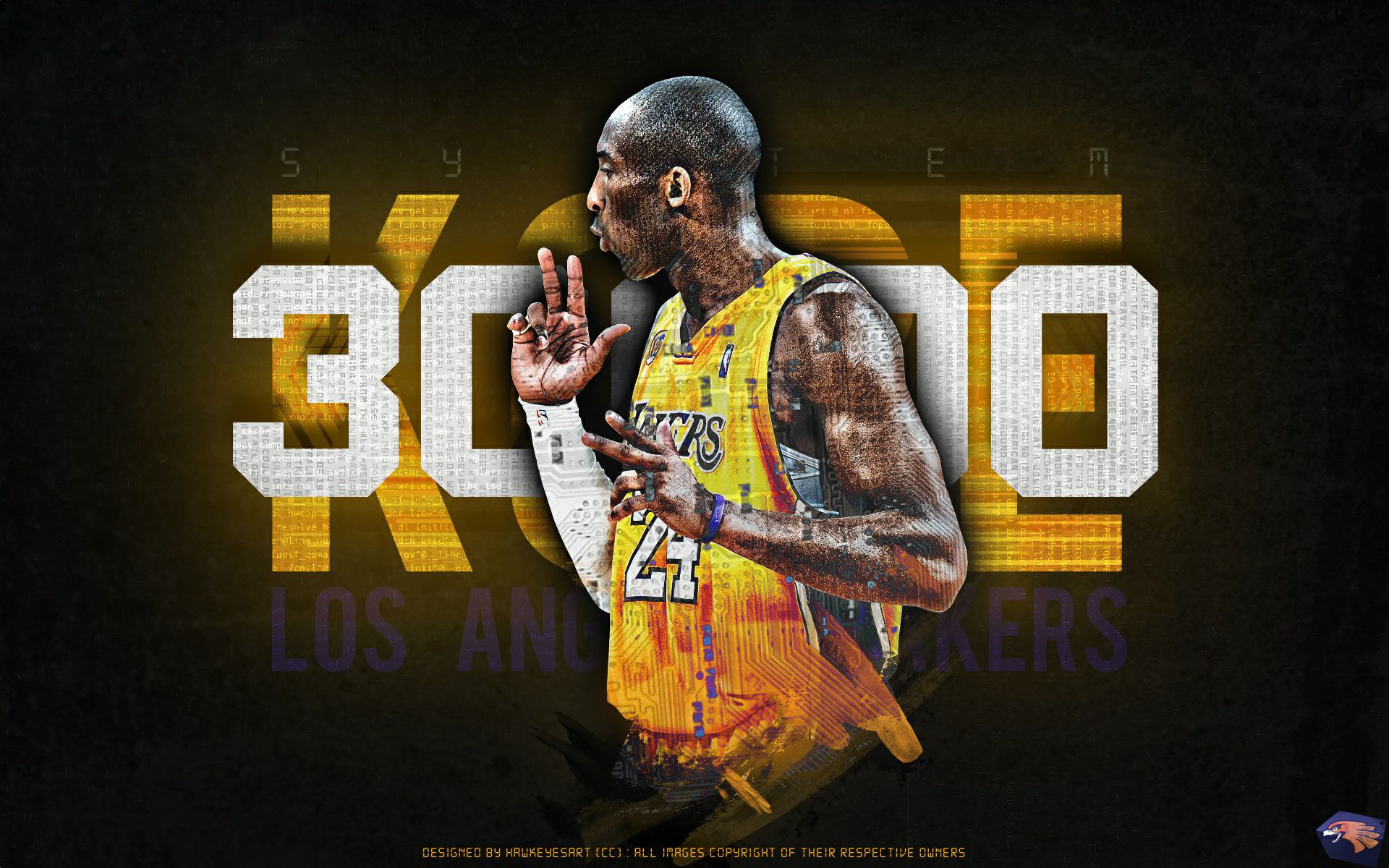 迎来了期待 迎来了期待